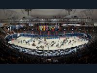 掘金VS森林狼直播